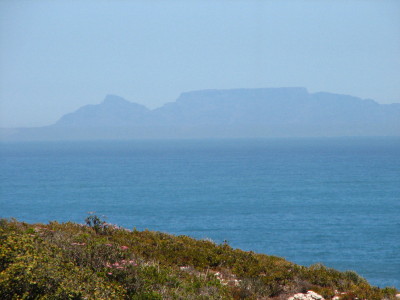 view of Table Mountain from Pearl Bay Heights